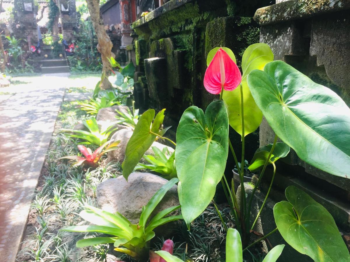 Tungeh Inn Ubud Exteriör bild