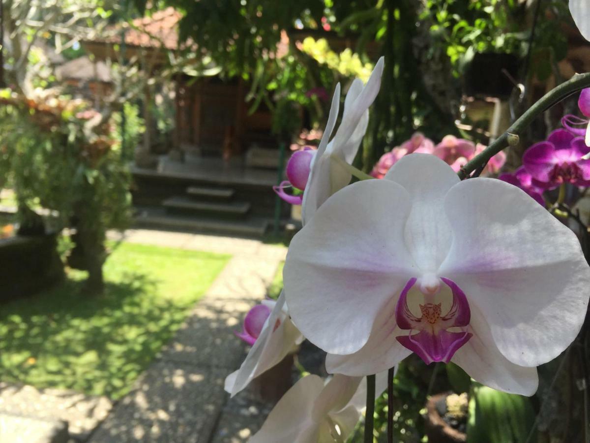 Tungeh Inn Ubud Exteriör bild