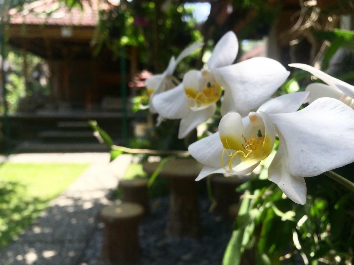 Tungeh Inn Ubud Exteriör bild